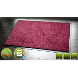 Paillasson tapis d'entrée