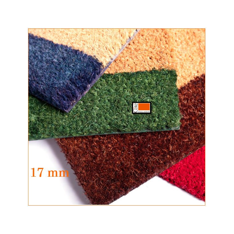 paillasson avec un bord couleur, découpé sur mesure. paillasson avec un bord couleur, découpé sur mesure.