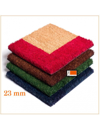 Tapis Brosse Coco H23mm SUR MESURE Bord couleur