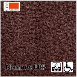 tapis d'entrée paillasson dédié aux ERP pour les PMR.