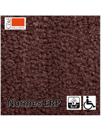 tapis d'entrée paillasson dédié aux ERP pour les PMR.