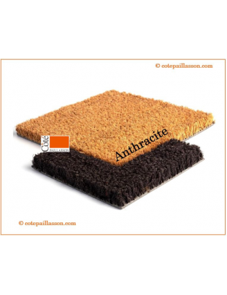 Bords Couleurs PREMIUM H23mm, 10 couleurs au choix