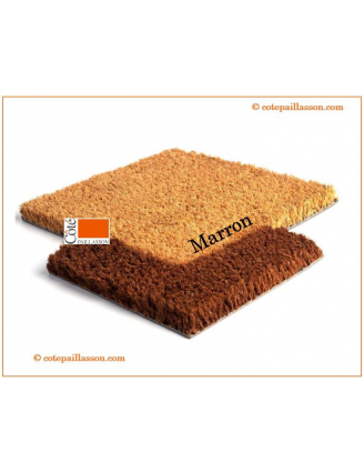 Bords Couleurs PREMIUM H23mm, 10 couleurs au choix