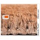 Tapis coco bord couleur semelle tissée (3 tailles dispo).