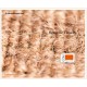 Tapis coco bord couleur semelle tissée (3 tailles dispo).