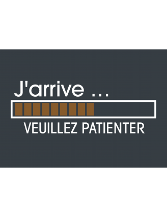 Paillasson, J'arrive ...