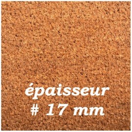 EAV9 Paillasson coco sur mesure Brun Sur mesure Paillassons coco