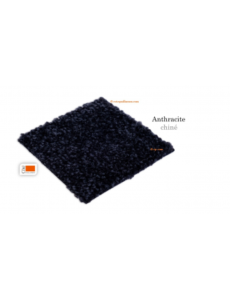 tapis d'entrée différents grand format