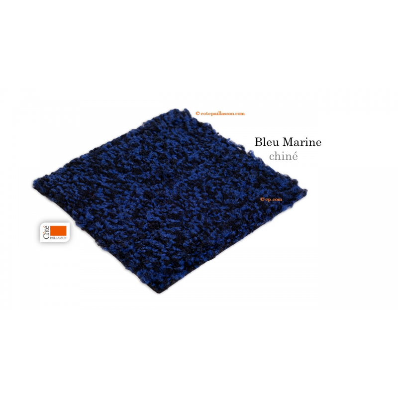 tapis d'entrée, couleur bleu, tapis intérieur tapis d'entrée, couleur bleu, tapis intérieur