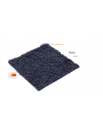 tapis d'entrée couleur grise, différents grand format.