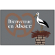 tapis d'entrée alsacien, alsace,