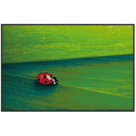 tapis d'entrée avec une coccinelle