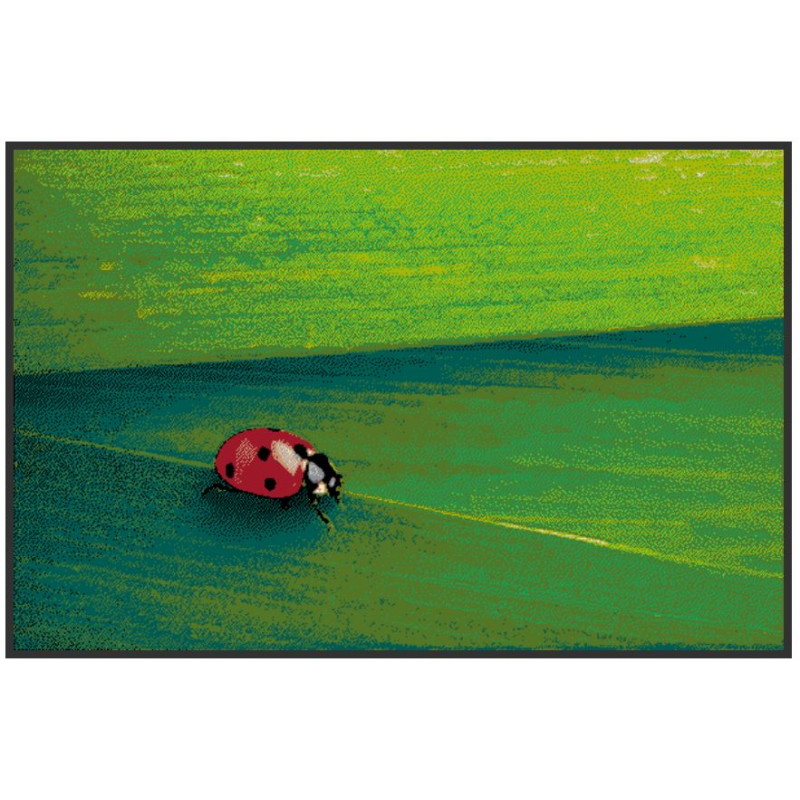 tapis d'entrée avec une coccinelle