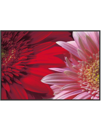 tapis d'entree image fleur