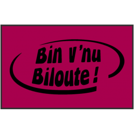 tapis d'entree biloute