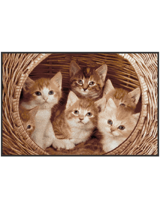 paillassons avec des chatons