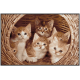 paillassons avec des chatons