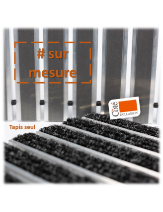 tapis d'entrée aluminium sur mesure