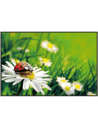 paillasson avec des fleurs