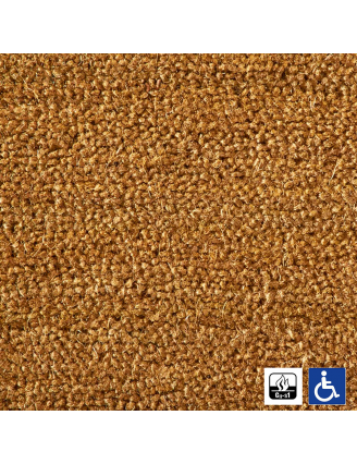 Paillasson Brosse Coco Qualité PMR-ERP