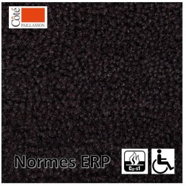 coco normes erp, couleur noire