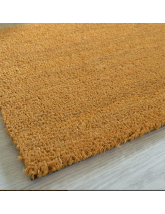 Tapis Brosse Coco Extra H24 Mm 100  x 100 cm.