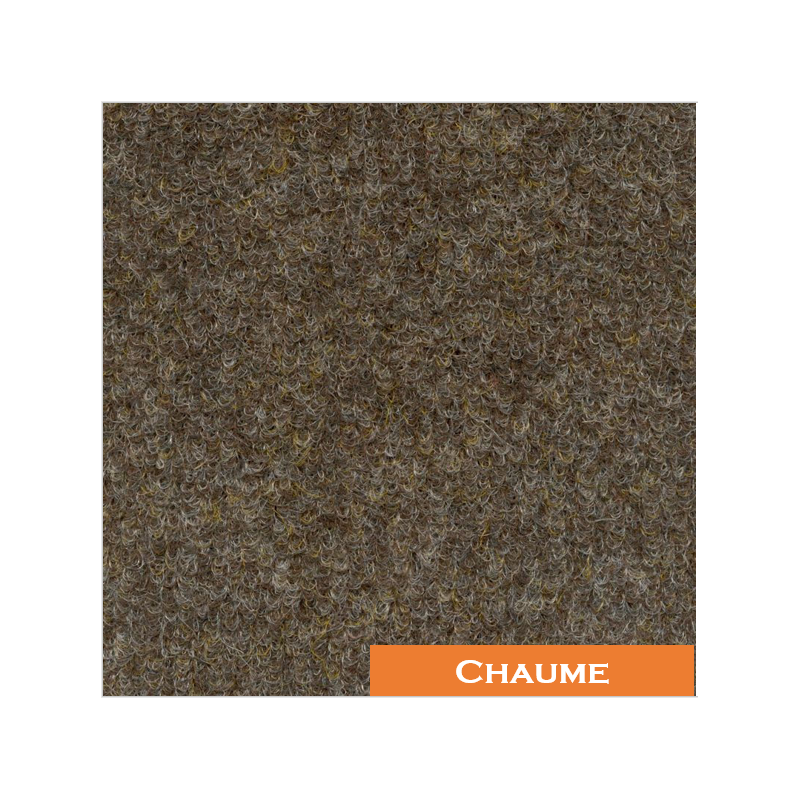 Brosse Synthétique EXTERIEUR / INTERIEUR sur...