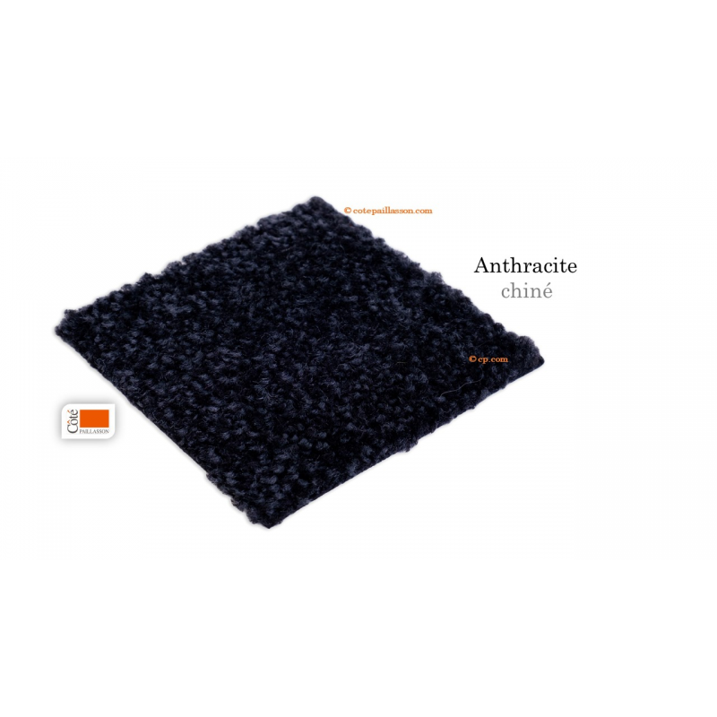 tapis d'entrée différents grand format