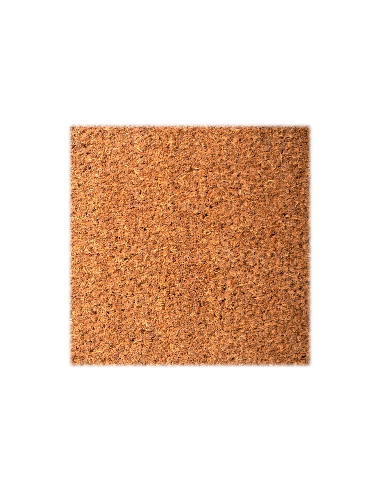 paillasson brosse coco grand trafic 20mm épaisseur