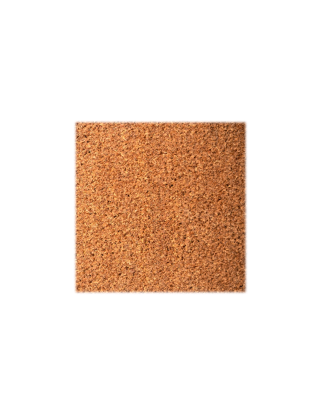 paillasson brosse coco grand trafic 20mm épaisseur