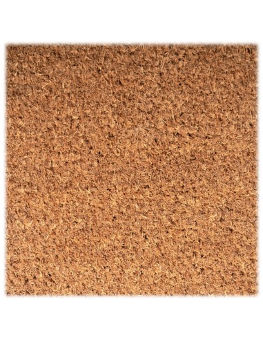 paillasson brosse coco grand trafic 23mm épaisseur