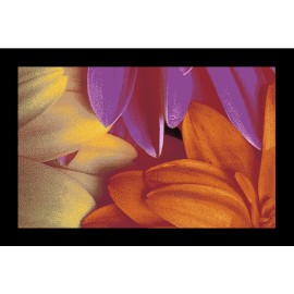 tapis d'entrée avec des fleurs