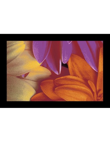 tapis d'entrée avec des fleurs