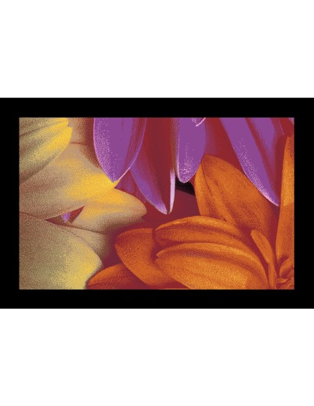 tapis d'entrée avec des fleurs