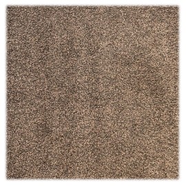 tapis d'entrée marron 2