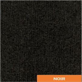 paillasson brosse synthétique pour l'extérieur 2