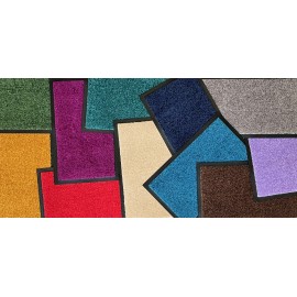 tapis d'entrée de couleur 2
