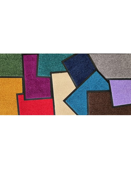 tapis d'entrée de couleur