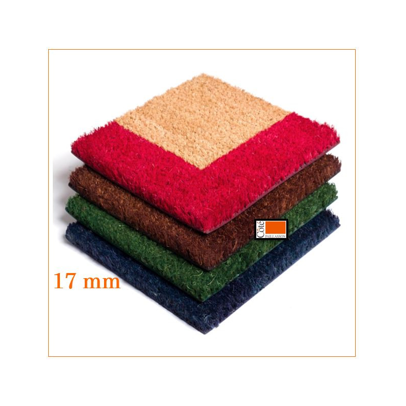 Tapis Brosse Coco 55 X 82 CM Bord couleur Verte...