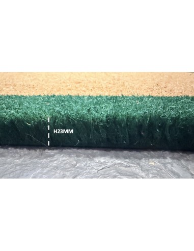 Tapis Brosse Coco 55 X 82 CM Bord couleur Verte...