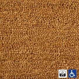 Paillasson Brosse Coco Qualité PMR-ERP 2