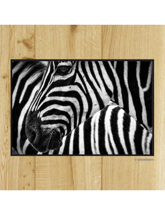 paillasson animaux 13