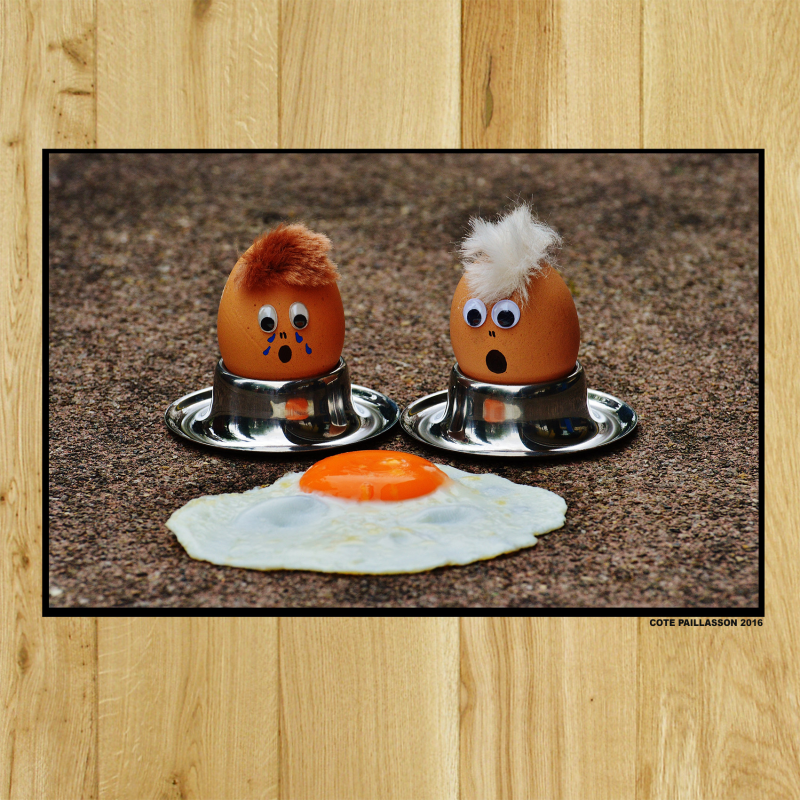 Téléchargement gratuit Images Paillasson Humour Oeufs Au Plat Paillassons Humour Cote le plus cool par