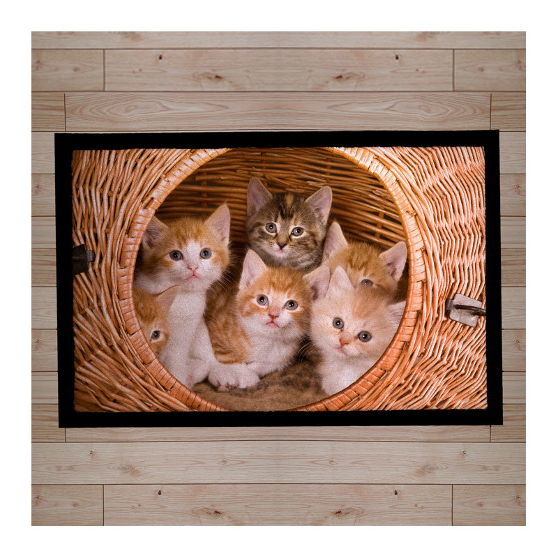 paillasson-décor-chatons paillasson-décor-chatons