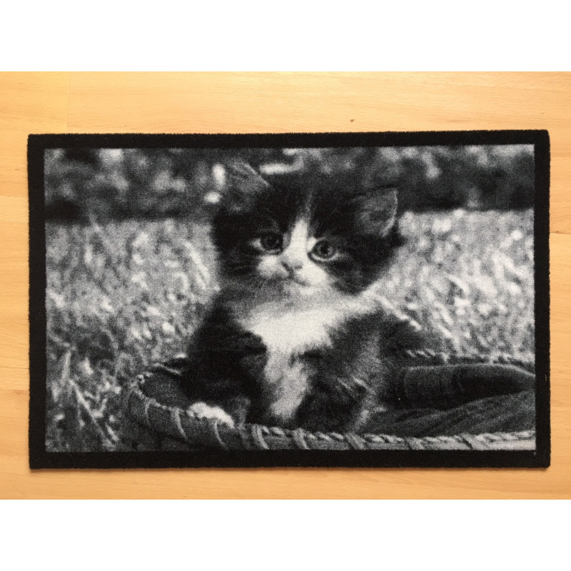 Paillasson Chaton Paillasson Chaton
