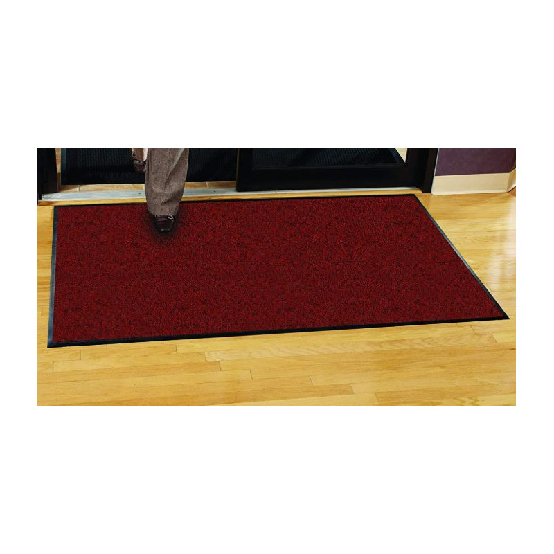 Tapis d'entrée professionnel