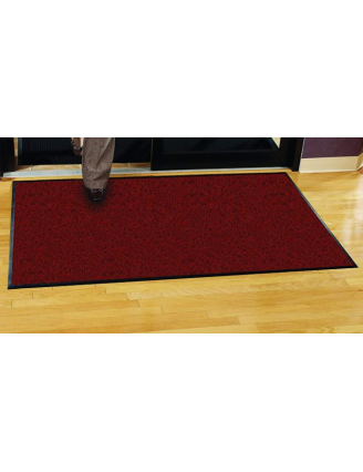 Tapis d'entrée professionnel