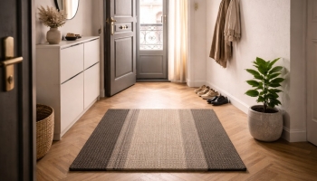 Entrée minimaliste : idées déco pour un espace élégant et fonctionnel